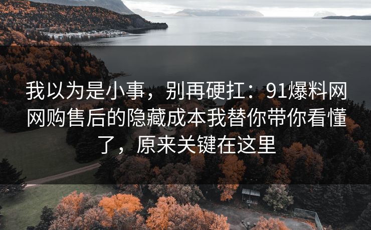 我以为是小事，别再硬扛：91爆料网网购售后的隐藏成本我替你带你看懂了，原来关键在这里