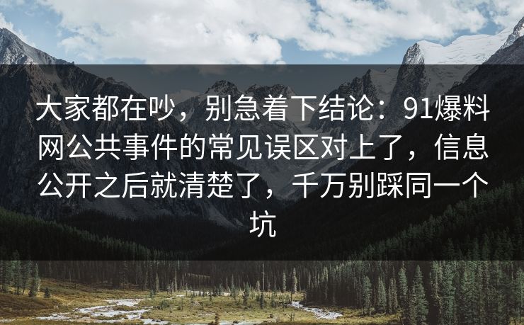 大家都在吵，别急着下结论：91爆料网公共事件的常见误区对上了，信息公开之后就清楚了，千万别踩同一个坑