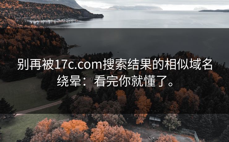 别再被17c.com搜索结果的相似域名绕晕:看完你就懂了。 别再被17c.com搜索结果的相似域名绕晕:看完你就懂了。