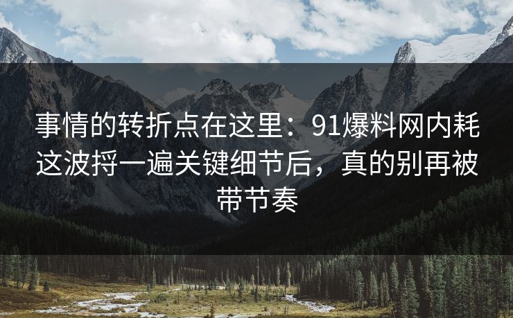 事情的转折点在这里：91爆料网内耗这波捋一遍关键细节后，真的别再被带节奏